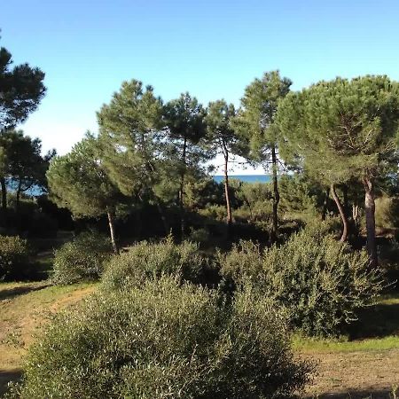 Tenuta Le Marze Castiglione della Pescaia Dış mekan fotoğraf