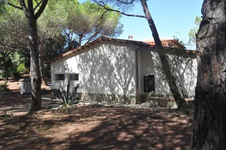 Tenuta Le Marze Castiglione della Pescaia Dış mekan fotoğraf