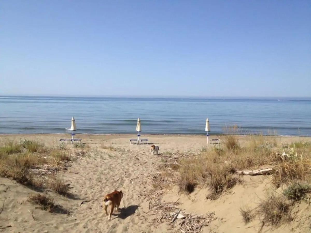 Tenuta Le Marze Castiglione della Pescaia Dış mekan fotoğraf