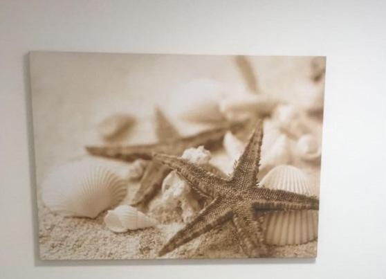 Tenuta Le Marze Castiglione della Pescaia Dış mekan fotoğraf