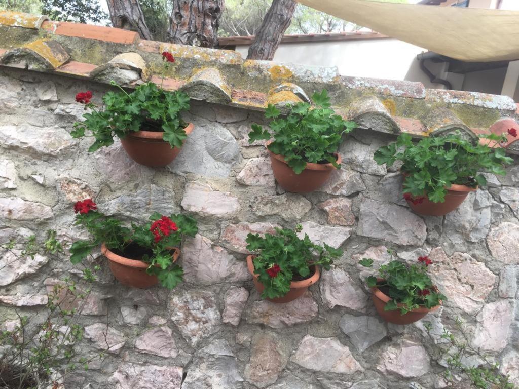 Tenuta Le Marze Castiglione della Pescaia Dış mekan fotoğraf