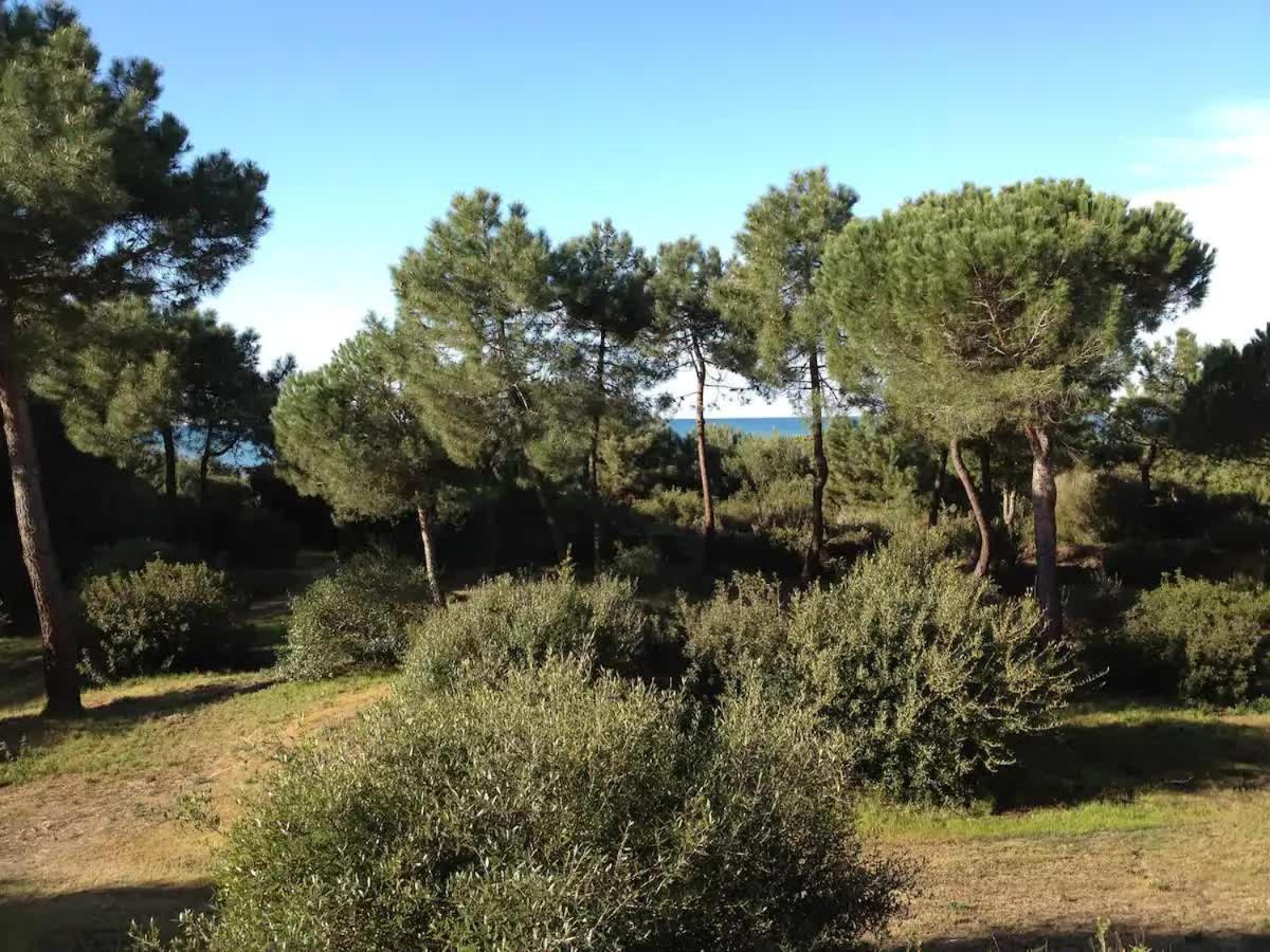 Tenuta Le Marze Castiglione della Pescaia Dış mekan fotoğraf