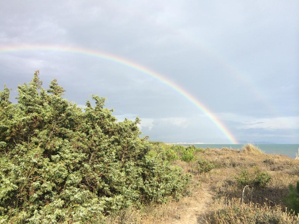 Tenuta Le Marze Castiglione della Pescaia Dış mekan fotoğraf