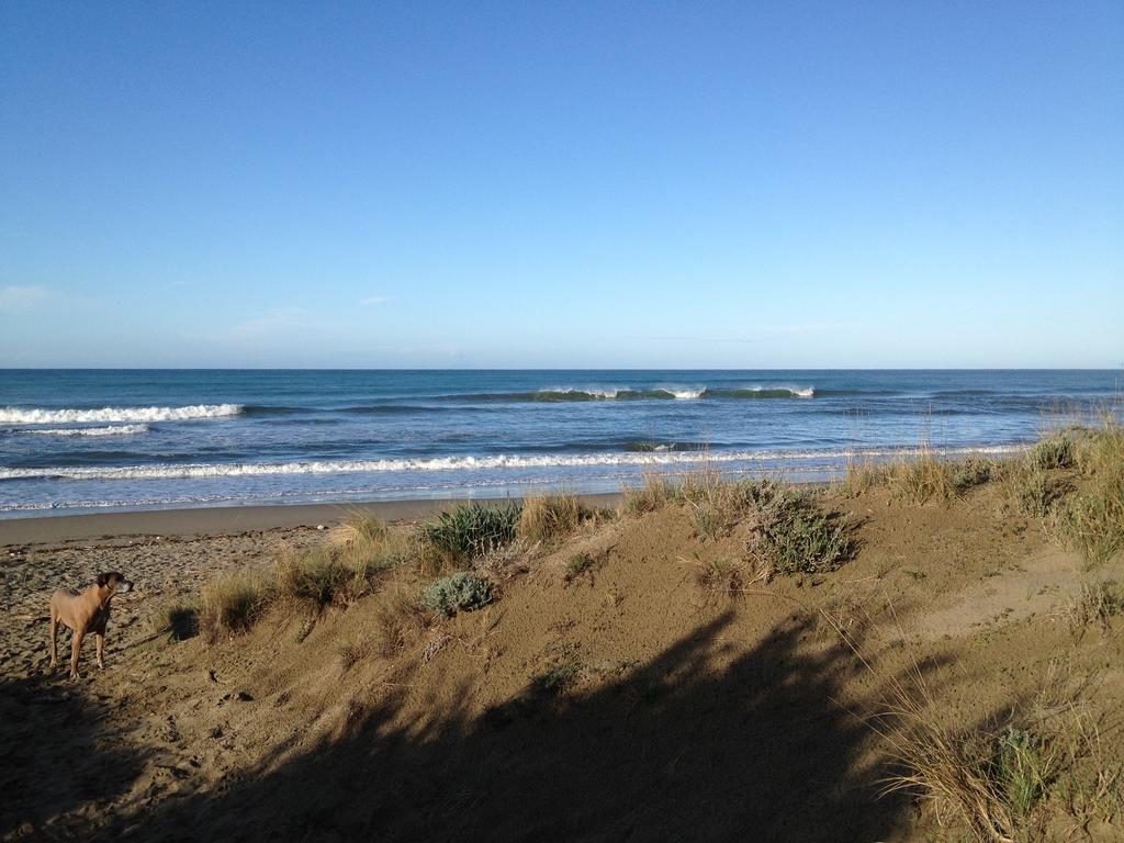 Tenuta Le Marze Castiglione della Pescaia Dış mekan fotoğraf