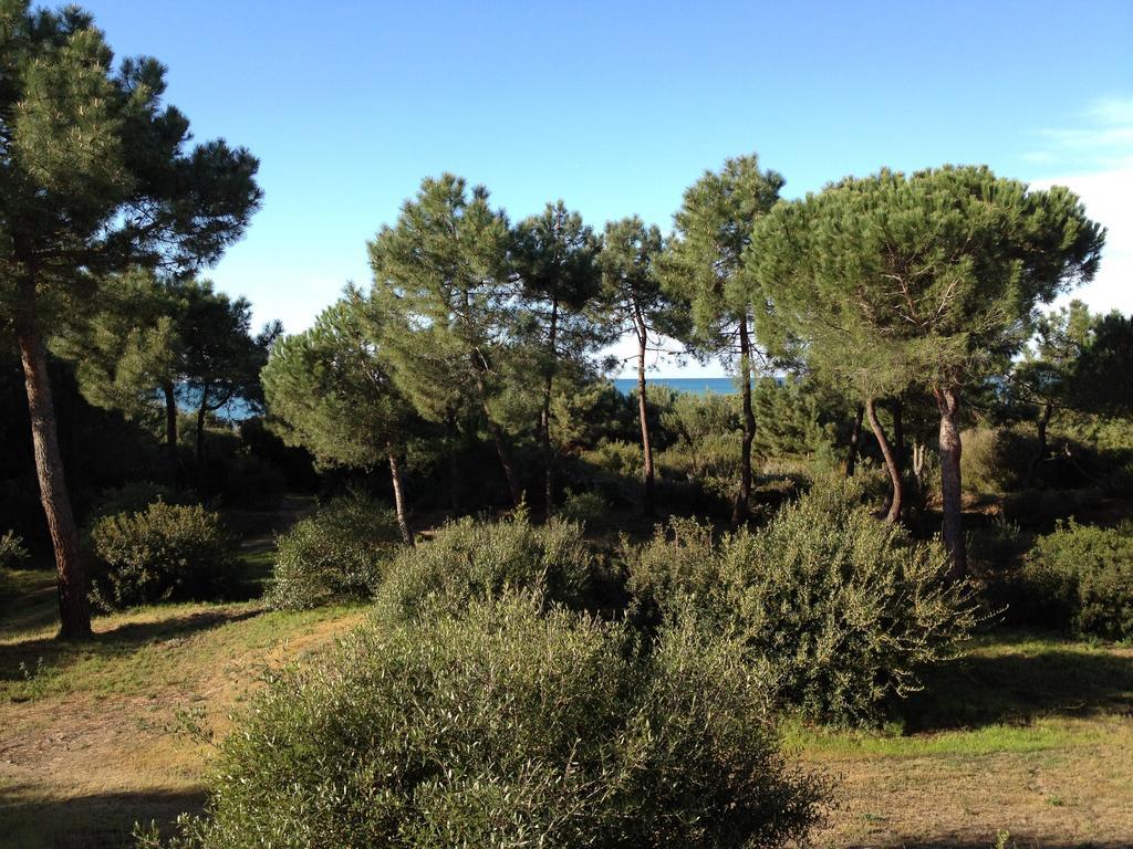 Tenuta Le Marze Castiglione della Pescaia Dış mekan fotoğraf