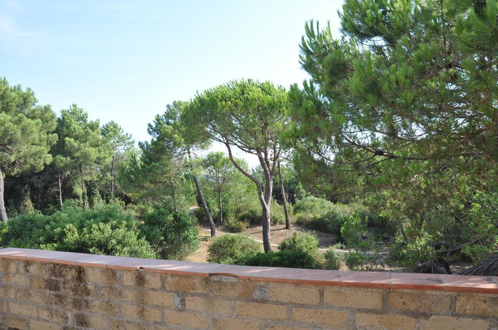 Tenuta Le Marze Castiglione della Pescaia Dış mekan fotoğraf